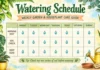 Watering Schedule for New Sod: A 30-Day Plan for Strong, Healthy Roots Watering Schedule